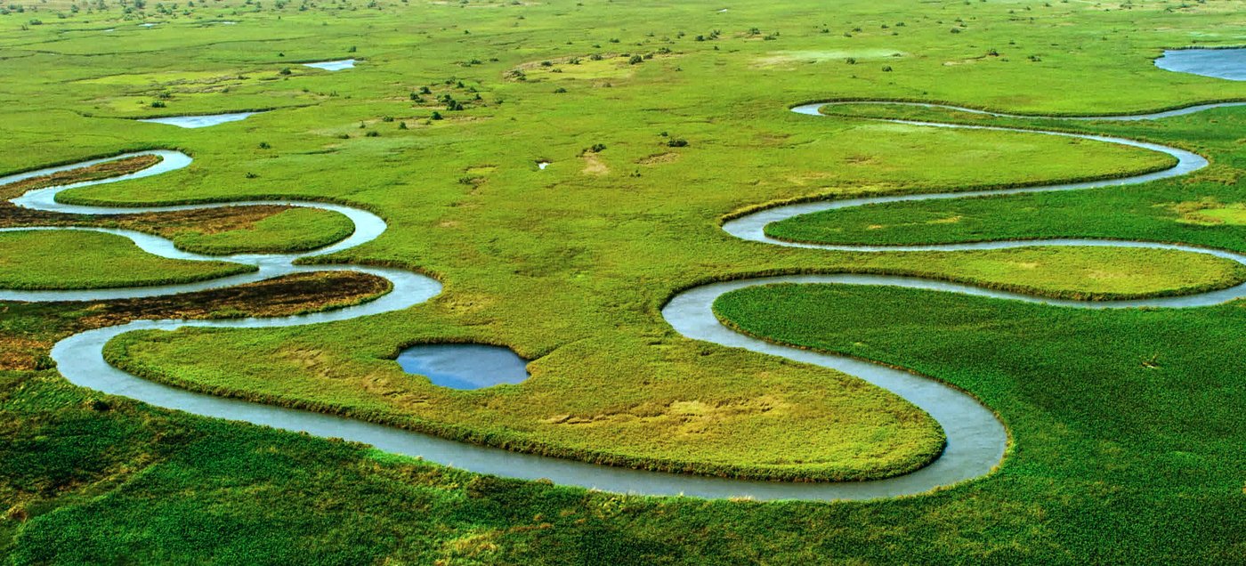 An aerial view of a winding river through green wetlands